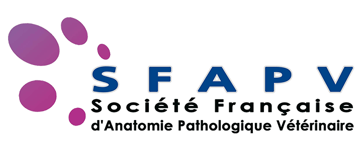 Le site de la SFAPV.